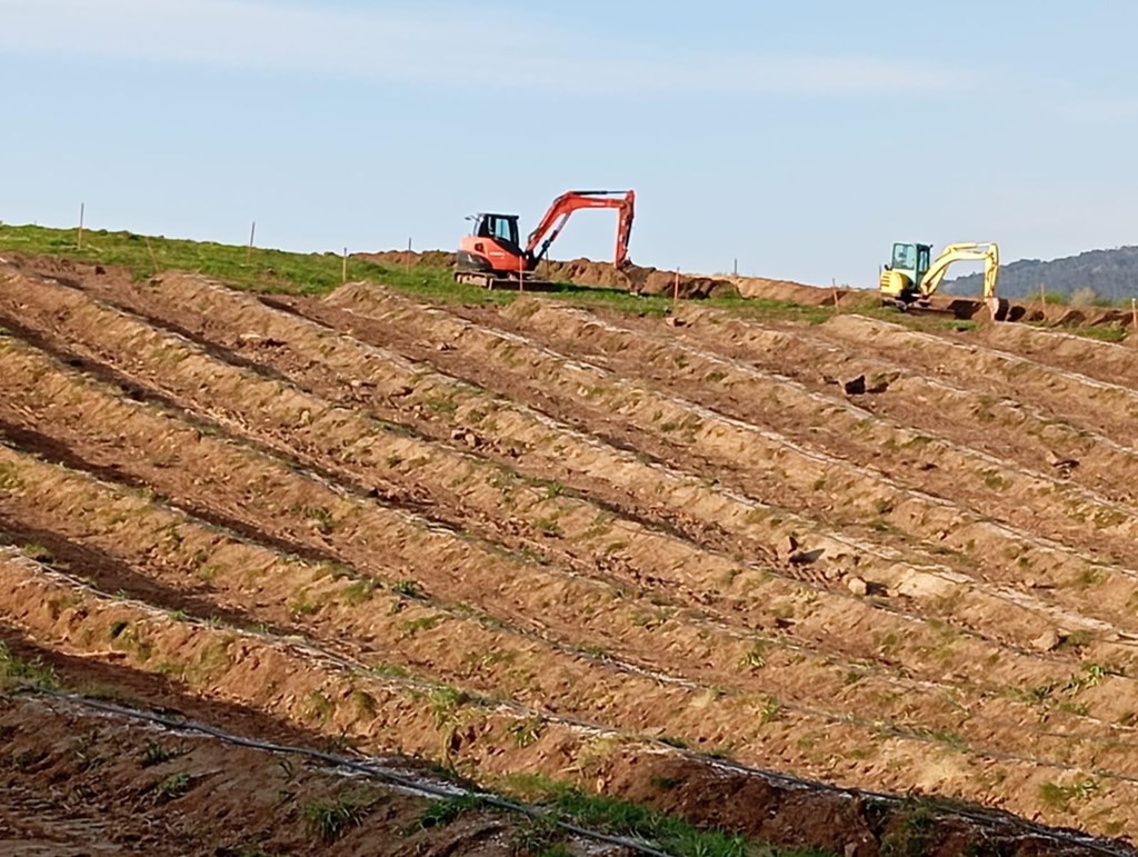 Foto 1 Asesoramiento técnico en movimientos de tierra en Tomiño