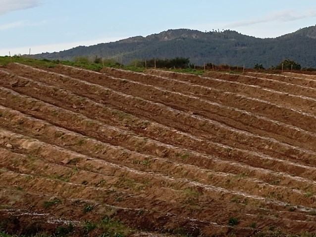 Asesoramiento técnico en movimientos de tierra en Tomiño - Imagen 1