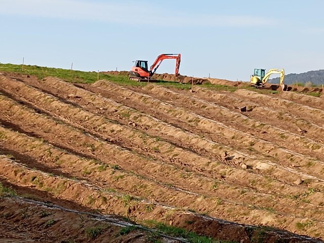 Asesoramiento técnico en movimientos de tierra en Tomiño