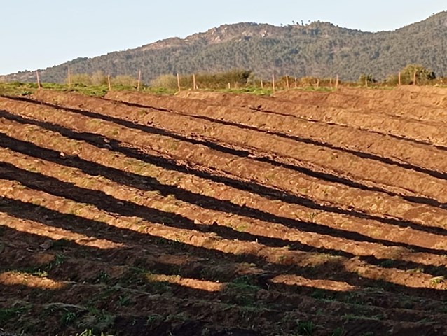 Deja tu parcela lista: camión dumper para obras en Tui - Imagen 1