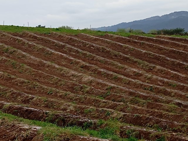 Deja tu parcela lista: camión dumper para obras en Tui