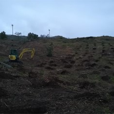 MINIEXCAVADORA